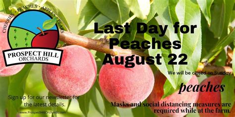 prospect hill orchards at the hilltop- cherry, peach & apple pick-your-own Join with the many loyal customers who shop for the freshest of market style varieties at Cherry Hill’s Outlet Store and choose your lawn and garden essentials from their Garden Center